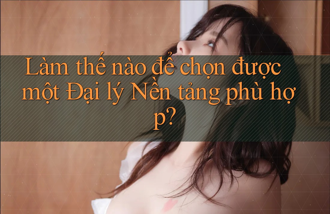 Làm thế nào để chọn được một Đại lý Nền tảng phù hợp?