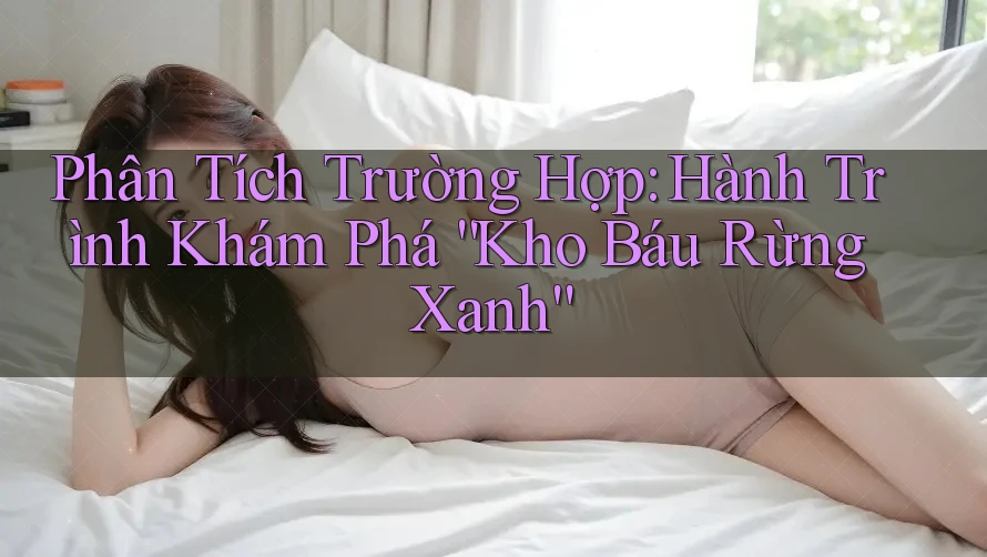 Phân Tích Trường Hợp: Hành Trình Khám Phá “Kho Báu Rừng Xanh”