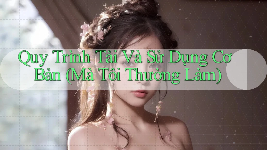 Quy Trình Tải Và Sử Dụng Cơ Bản (Mà Tôi Thường Làm) Quy Trình Tải Và Sử Dụng Cơ Bản (Mà Tôi Thường Làm)