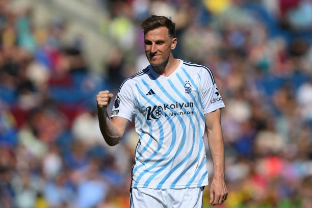 深长的评价 深长的评价